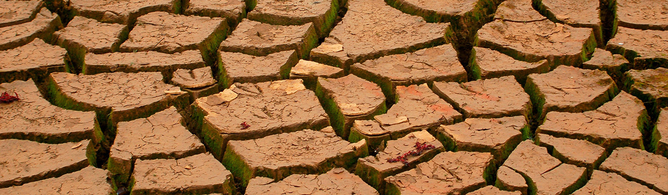 climate change s surprising effect shrinking climate change and animals introduction s climate change s surprising effect shrinking climate change and animals introduction s